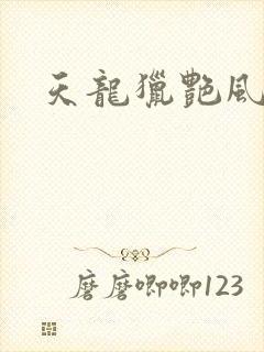 天龙猎艳风流