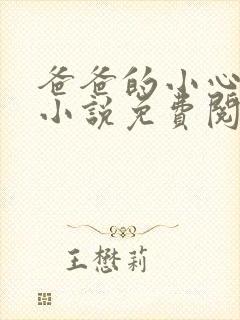 爸爸的小心肝儿小说免费阅读