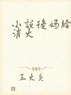 小说后妈给我消消火