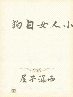 狗日女人小说