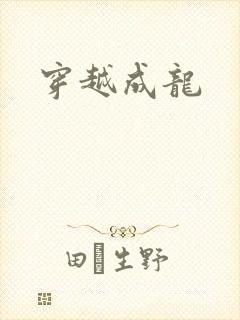 穿越成龙