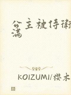 公主被侍卫填的满