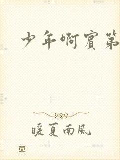 少年啊宾第二部