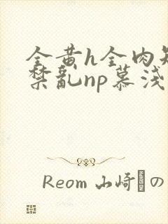 全黄h全肉短篇禁乱np慕浅浅