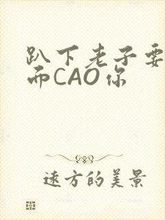 趴下老子要从后面CAO你