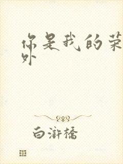 你是我的荣耀番外