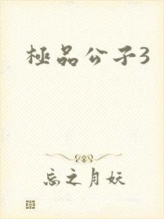 极品公子3