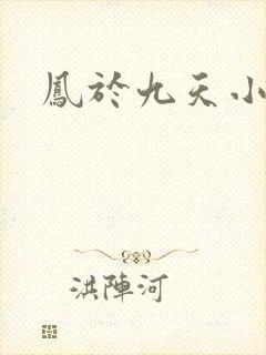 凤于九天小说
