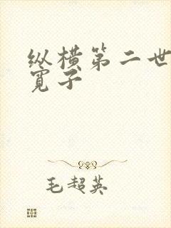 纵横第二世界 宽子
