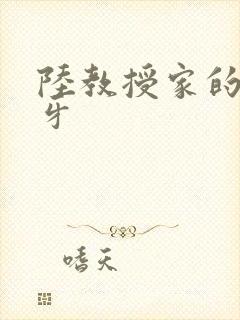 陆教授家的小月牙
