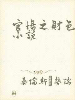 官场之财色诱人小说