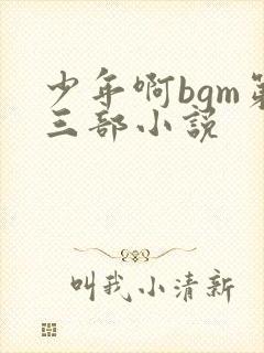 少年啊bgm第三部小说