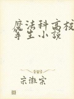 魔法科高校的劣等生小说