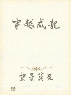 穿越成龙