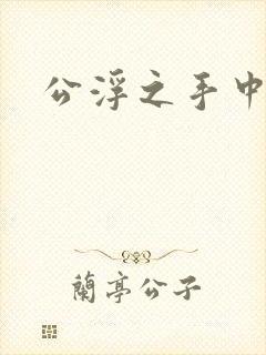 公浮之手中字5