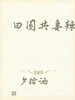 田园共妻辣