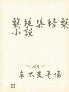 系统集精系统 小说