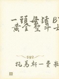 一头母猪 BY 黄金圣斗士