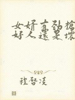 女婿有劲枪枪是好人还是坏人