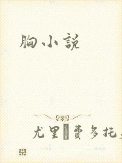 胸小说
