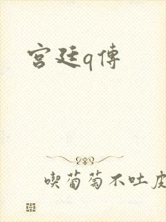 宫廷q传
