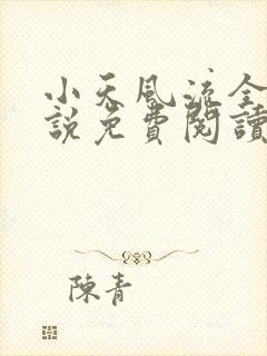 小天风流全集小说免费阅读