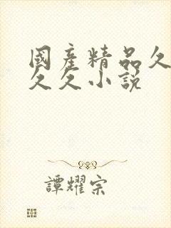 国产精品久久久久久小说