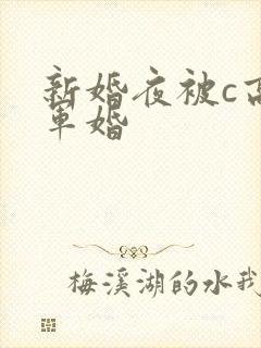 新婚夜被c高h军婚