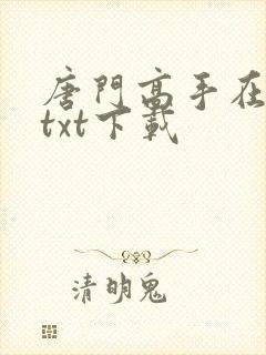 唐门高手在异世txt下载