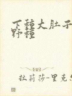 下种大肚子怀孕野种