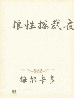 狼性总裁夜欢宠