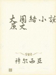 大团结小说阅读原文