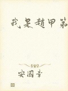 我是赵甲第小说