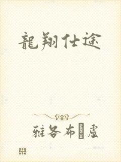龙翔仕途
