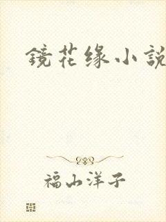 镜花缘小说