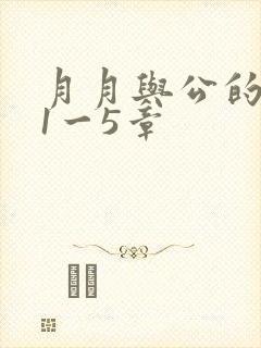 月月与公的激情1一5章
