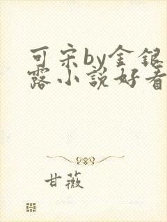 可宋by金银花露小说好看吗