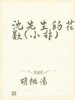 沈先生的花式调数(小非)