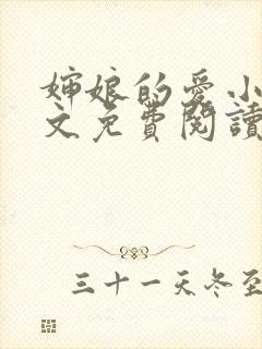 婶娘的爱小说全文免费阅读