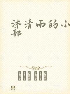 沐清雨的小说全部