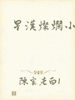 星汉灿烂小说