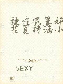 被催眠暴奸的校花夏诗涵小说