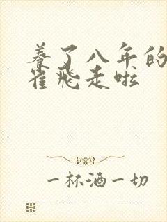 养了八年的金丝雀飞走啦