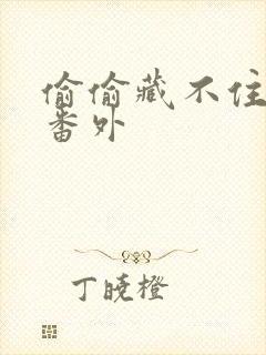 偷偷藏不住新婚番外