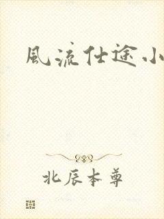 风流仕途小说封面