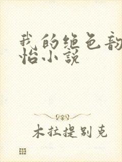 我的绝色韵母郑怡小说