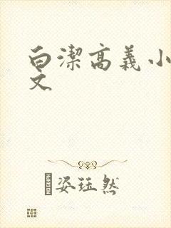 白洁高义小说全文