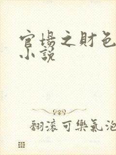 官场之财色诱人小说