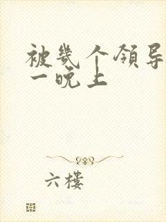 被几个领导玩弄一晚上