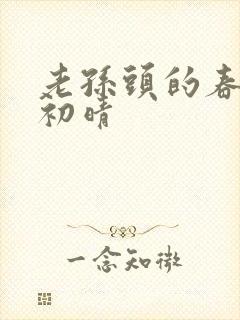 老孙头的春天林初晴